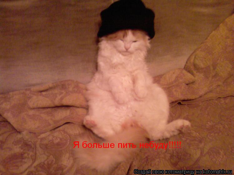 Я больше пить небуду!!!!!... Котоматрица: Я больше пить небуду!!!!!