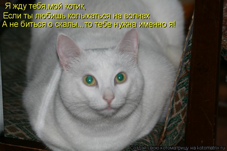Я жду тебя,мой котик, Если ты любишь колыхаться на волнах А не биться о скалы...то тебе нужна именно ... Котоматрица: Я жду тебя,мой котик, Если ты любишь колыхаться на волнах А не биться о скалы...то тебе нужна именно я!
