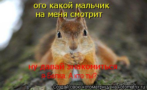 ого какой мальчик на меня смотрит ну давай знакомиться я-Белка. А кто ты?... Котоматрица: ого какой мальчик на меня смотрит ну давай знакомиться я-Белка. А кто ты?