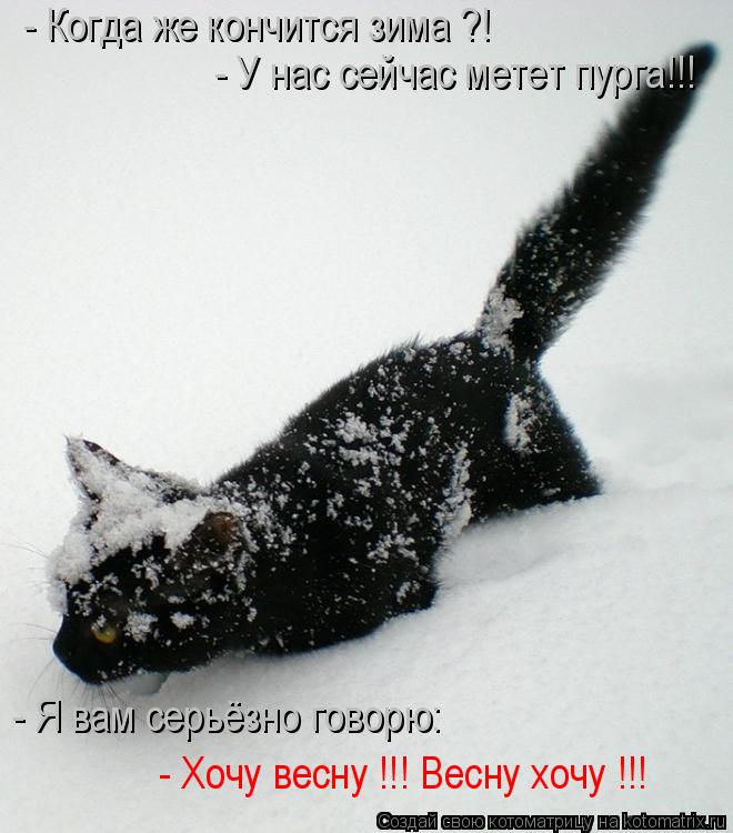 - Когда же кончится зима ?! - У нас сейчас метет пурга!!! - Я вам серьёзно говорю: - Хочу весну !!!... Котоматрица: - Когда же кончится зима ?! - У нас сейчас метет пурга!!! - Я вам серьёзно говорю: - Хочу весну !!! Весну хочу !!!