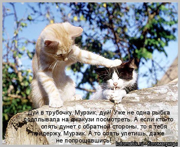- Дуй в трубочку, Мурзик, дуй! Уже не одна рыбка подплывала на джакузи посмотреть. А если кто-то опят... Котоматрица: - Дуй в трубочку, Мурзик, дуй! Уже не одна рыбка подплывала на джакузи посмотреть. А если кто-то опять дунет с обратной стороны, то я тебя прид