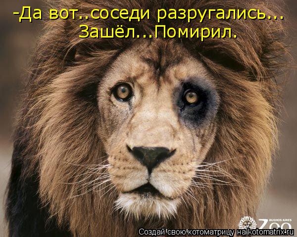 -Да вот..соседи разругались... Зашёл...Помирил.... Котоматрица: -Да вот..соседи разругались... Зашёл...Помирил.