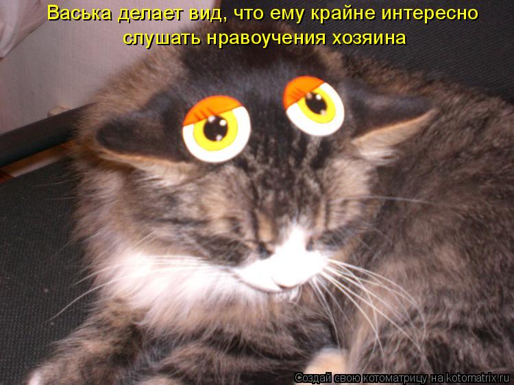 Котоматрица: Васька делает вид, что ему крайне интересно слушать нравоучения хозяина