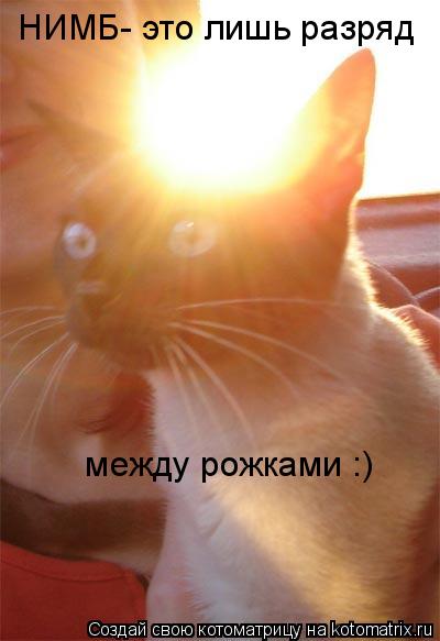 между рожками :) НИМБ- это лишь разряд... Котоматрица: между рожками :) НИМБ- это лишь разряд
