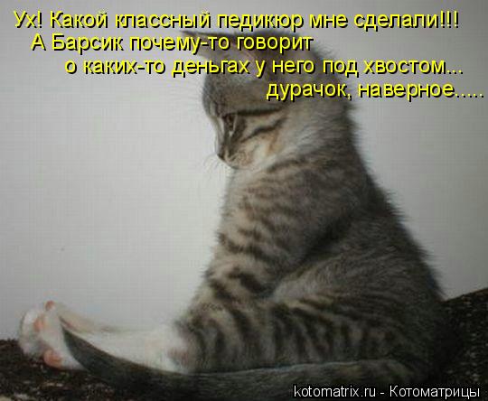 Ух! Какой классный педикюр мне сделали!!! А Барсик почему-то говорит о каких-то деньгах у него под хв... Котоматрица: Ух! Какой классный педикюр мне сделали!!! А Барсик почему-то говорит о каких-то деньгах у него под хвостом... дурачок, наверное.....