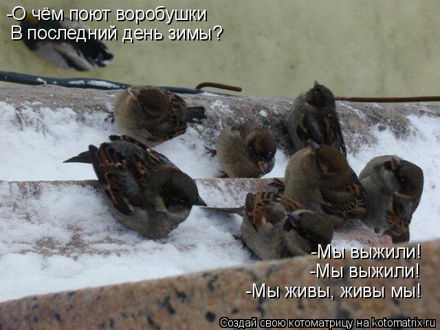 -О чём поют воробушки В последний день зимы? -Мы выжили! -Мы выжили! -Мы живы, живы мы!... Котоматрица: -О чём поют воробушки В последний день зимы? -Мы выжили! -Мы выжили! -Мы живы, живы мы!