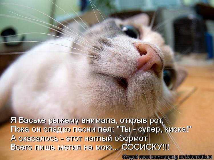 Я Ваське рыжему внимала, открыв рот, Пока он сладко песни пел: "Ты - супер, киска!" А оказалось - это... Котоматрица: Я Ваське рыжему внимала, открыв рот, Пока он сладко песни пел: "Ты - супер, киска!" А оказалось - этот наглый обормот Всего лишь метил на мою... С