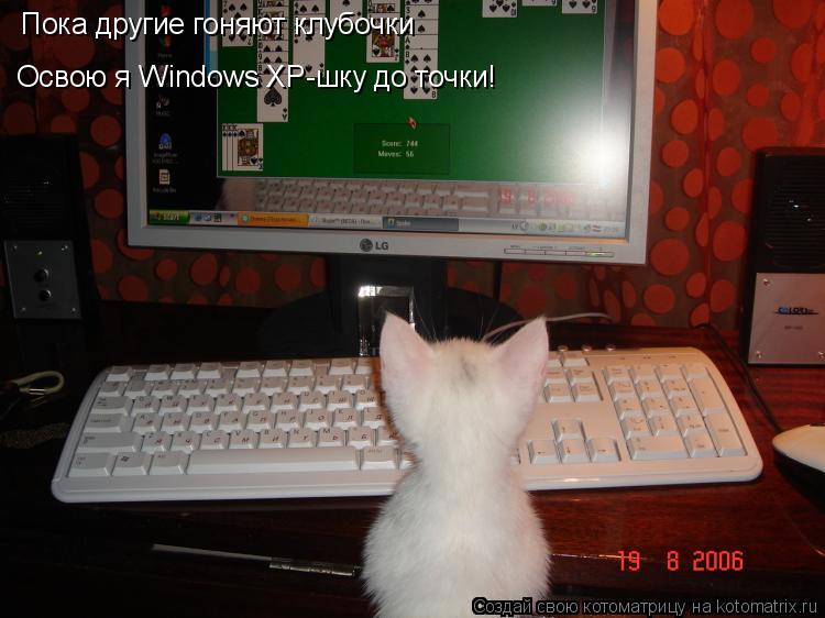 Пока другие гоняют клубочки Освою я Windows XP-шку до точки!... Котоматрица: Пока другие гоняют клубочки Освою я Windows XP-шку до точки!