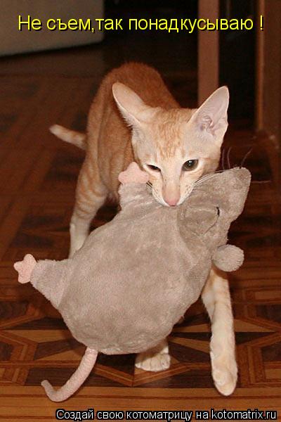 Не съем,так понадкусываю !... Котоматрица: Не съем,так понадкусываю !