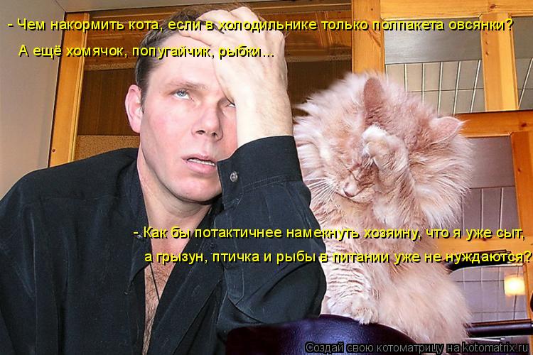 - Чем накормить кота, если в холодильнике только полпакета овсянки? А ещё хомячок, попугайчик, рыбки.... Котоматрица: - Чем накормить кота, если в холодильнике только полпакета овсянки? А ещё хомячок, попугайчик, рыбки... - Как бы потактичнее намекнуть хозяину