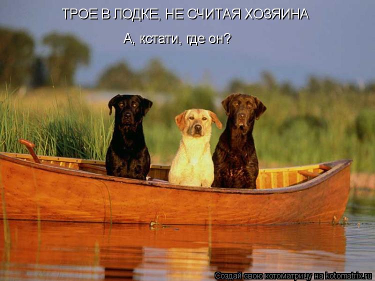 Котоматрица: ТРОЕ В ЛОДКЕ, НЕ СЧИТАЯ ХОЗЯИНА А, кстати, где он?