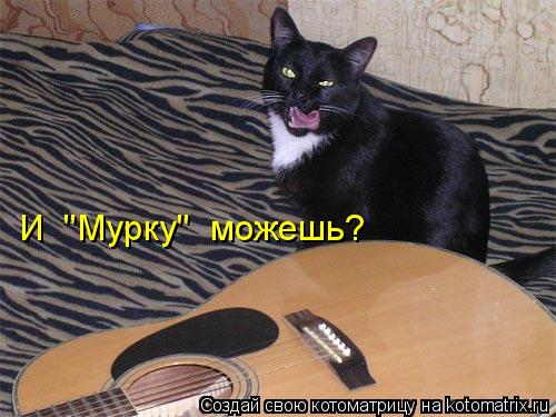И "Мурку" можешь?... Котоматрица: И "Мурку" можешь?