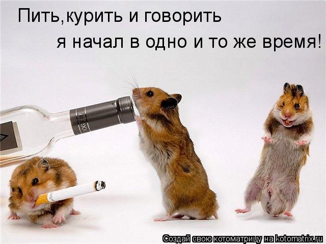 Пить,курить и говорить я начал в одно и то же время!... Котоматрица: Пить,курить и говорить я начал в одно и то же время!