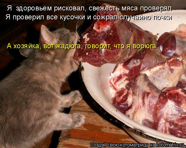 Я здоровьем рисковал, свежесть мяса проверял Я проверил все кусочки и сожрал случайно почки А хозяйк... Котоматрица: Я здоровьем рисковал, свежесть мяса проверял Я проверил все кусочки и сожрал случайно почки А хозяйка, вот жадюга, говорит, что я ворюга