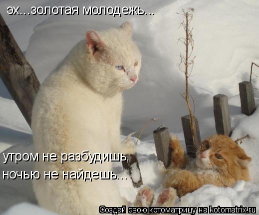 эх...золотая молодежь... утром не разбудишь, ночью не найдешь...... Котоматрица: эх...золотая молодежь... утром не разбудишь, ночью не найдешь...