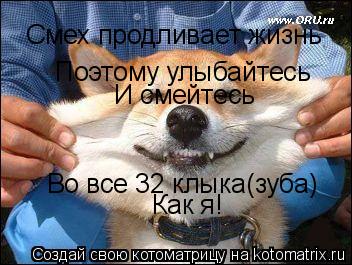 Коррекция бровей пинцетом в салоне Отзывы покупателей Каталог медицинского оборудования