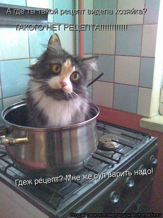 Котоматрица: Гдеж рецепт? Мне же суп варить надо! А где ты такой рецепт видела хозяйка? ТАКОГО НЕТ РЕЦЕПТА!!!!!!!!!!!!