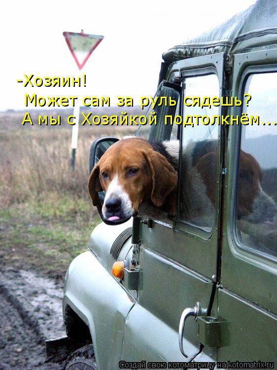 -Хозяин! Может сам за руль сядешь? А мы с Хозяйкой подтолкнём...... Котоматрица: -Хозяин! Может сам за руль сядешь? А мы с Хозяйкой подтолкнём...