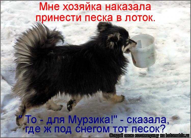 Мне хозяйка наказала принести песка в лоток. где ж под снегом тот песок? " То - для Мурзика!" - сказа... Котоматрица: Мне хозяйка наказала принести песка в лоток. где ж под снегом тот песок? " То - для Мурзика!" - сказала,