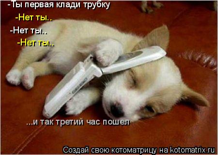 Котоматрица: -Нет ты.. ...и так третий час пошел -Ты первая клади трубку -Нет ты.. -Нет ты..