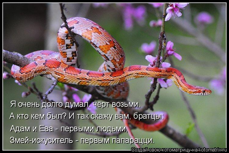Я очень долго думал, чёрт возьми, А кто кем был? И так скажу вам, братцы: Адам и Ева - первыми людьми... Котоматрица: Я очень долго думал, чёрт возьми, А кто кем был? И так скажу вам, братцы: Адам и Ева - первыми людьми, Змей-искуситель - первым папарацци.