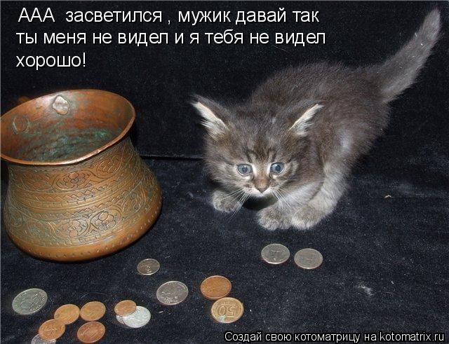 ААА засветился , мужик давай так ты меня не видел и я тебя не видел хорошо!... Котоматрица: ААА засветился , мужик давай так ты меня не видел и я тебя не видел хорошо!
