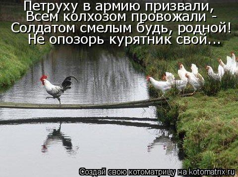 Петруху в армию призвали, Всем колхозом провожали - Солдатом смелым будь, родной! Не опозорь курятник... Котоматрица: Петруху в армию призвали, Всем колхозом провожали - Солдатом смелым будь, родной! Не опозорь курятник свой...