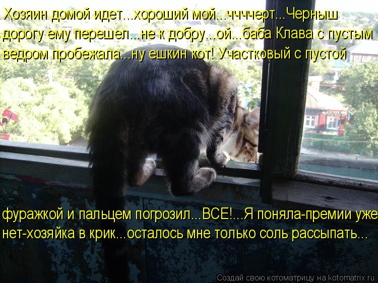 Хозяин домой идет...хороший мой...ччччерт...Черныш дорогу ему перешел...не к добру...ой...баба Клава ... Котоматрица: Хозяин домой идет...хороший мой...ччччерт...Черныш дорогу ему перешел...не к добру...ой...баба Клава с пустым ведром пробежала...ну ешкин кот! Уча