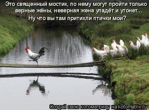 Это священный мостик, по нему могут пройти только Ну что вы там притихли птички мои? верные жёны, нев... Котоматрица: Это священный мостик, по нему могут пройти только Ну что вы там притихли птички мои? верные жёны, неверная жена упадёт и утонет...