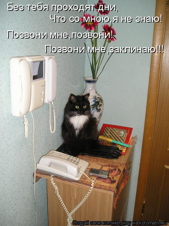 Без тебя проходят дни, Что со мною,я не знаю! Позвони мне,позвони! Позвони мне,заклинаю!!!... Котоматрица: Без тебя проходят дни, Что со мною,я не знаю! Позвони мне,позвони! Позвони мне,заклинаю!!!