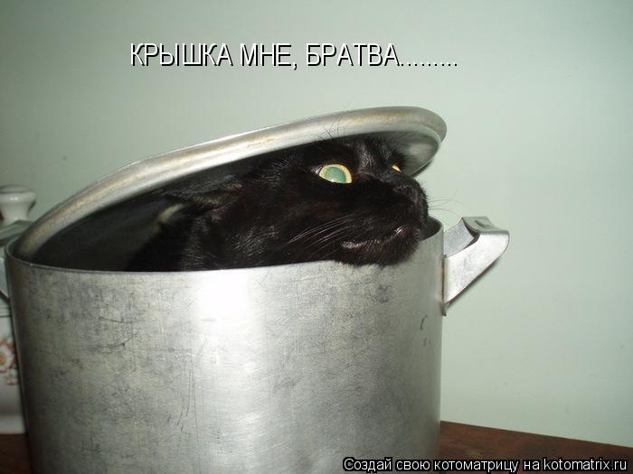 КРЫШКА МНЕ, БРАТВА............ Котоматрица: КРЫШКА МНЕ, БРАТВА.........