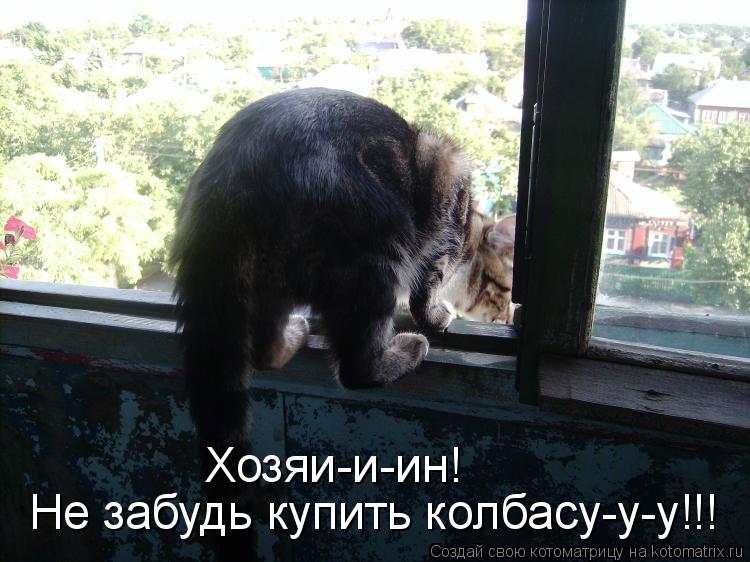 Не забудь купить колбасу-у-у!!! Хозяи-и-ин!... Котоматрица: Не забудь купить колбасу-у-у!!! Хозяи-и-ин!