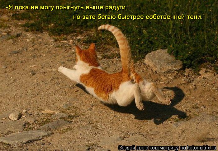 -Я пока не могу прыгнуть выше радуги, но зато бегаю быстрее собственной тени.... Котоматрица: -Я пока не могу прыгнуть выше радуги, но зато бегаю быстрее собственной тени.