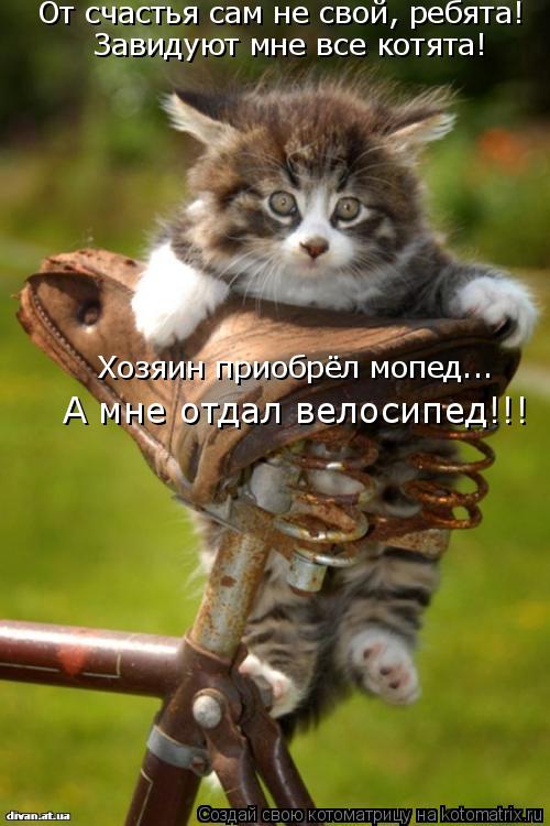 От счастья сам не свой, ребята! Завидуют мне все котята! Хозяин приобрёл мопед... А мне отдал велосип... Котоматрица: От счастья сам не свой, ребята! Завидуют мне все котята! Хозяин приобрёл мопед... А мне отдал велосипед!!!