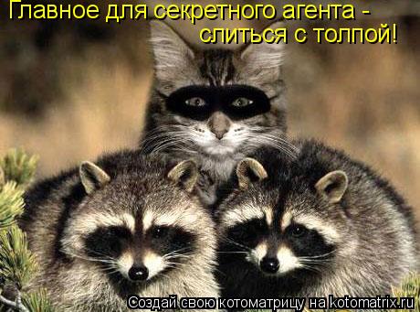 Главное для секретного агента - слиться с толпой!... Котоматрица: Главное для секретного агента - слиться с толпой!