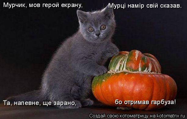 Мурчик, мов герой екрану, Мурцi намiр свiй сказав. Та, напевне, ще зарано, бо отримав гарбуза!... Котоматрица: Мурчик, мов герой екрану, Мурцi намiр свiй сказав. Та, напевне, ще зарано, бо отримав гарбуза!