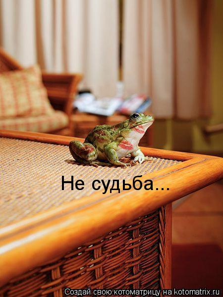 Не судьба...... Котоматрица: Не судьба...