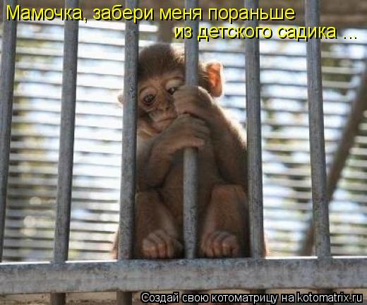 Мамочка, забери меня пораньше из детского садика ...... Котоматрица: Мамочка, забери меня пораньше из детского садика ...