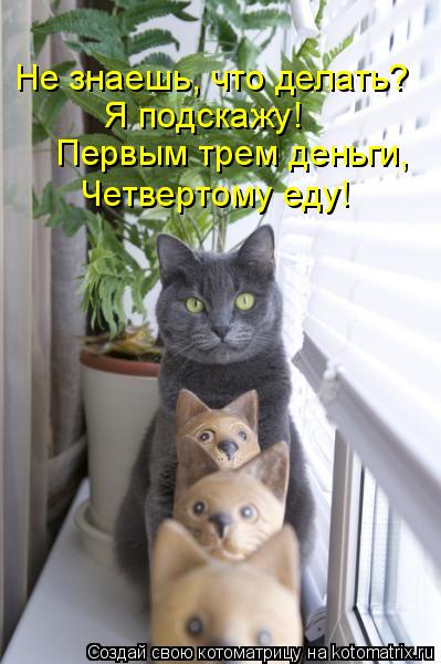 Первым трем деньги, Четвертому еду! Не знаешь, что делать? Я подскажу!... Котоматрица: Первым трем деньги, Четвертому еду! Не знаешь, что делать? Я подскажу!