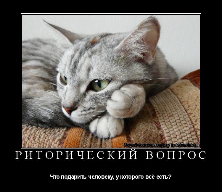 Риторический вопрос Что подарить человеку, у которого всё есть?... Котоматрица: Риторический вопрос Что подарить человеку, у которого всё есть?