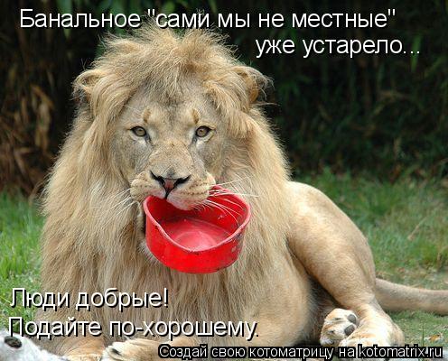 Банальное "сами мы не местные" Подайте по-хорошему. Люди добрые! уже устарело...... Котоматрица: Банальное "сами мы не местные" Подайте по-хорошему. Люди добрые! уже устарело...