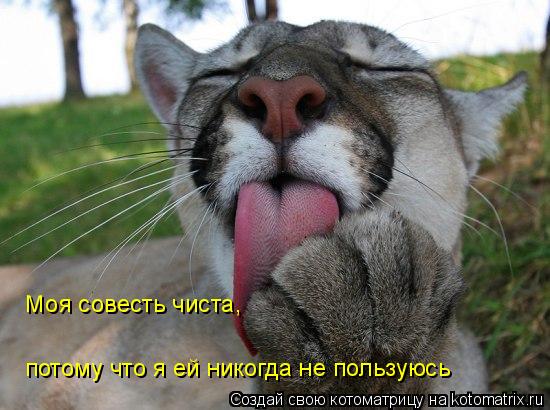 Моя совесть чиста, потому что я ей никогда не пользуюсь... Котоматрица: Моя совесть чиста, потому что я ей никогда не пользуюсь