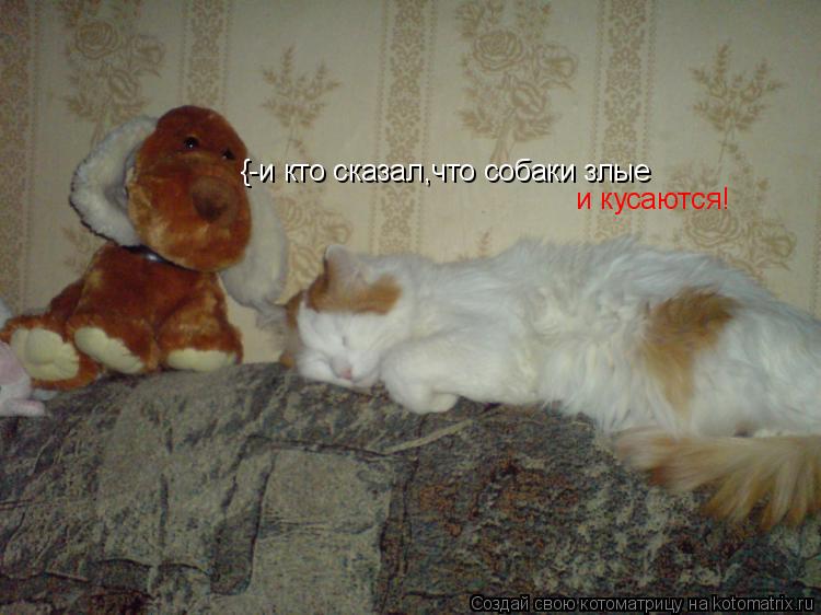 {-и кто сказал,что собаки злые и кусаются!... Котоматрица: {-и кто сказал,что собаки злые и кусаются!