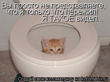 Котоматрица: Вы просто не представляете, что я только что пережил! Я ТАКОЕ видел...