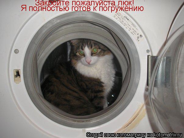 Закройте пожалуйста люк! Я полностью готов к погружению... Котоматрица: Закройте пожалуйста люк! Я полностью готов к погружению