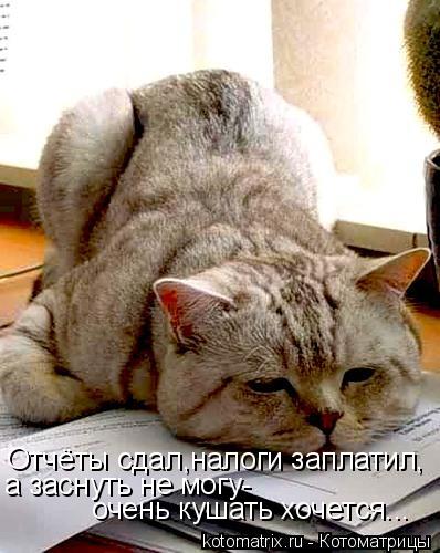 Отчёты сдал,налоги заплатил, а заснуть не могу- очень кушать хочется...... Котоматрица: Отчёты сдал,налоги заплатил, а заснуть не могу- очень кушать хочется...