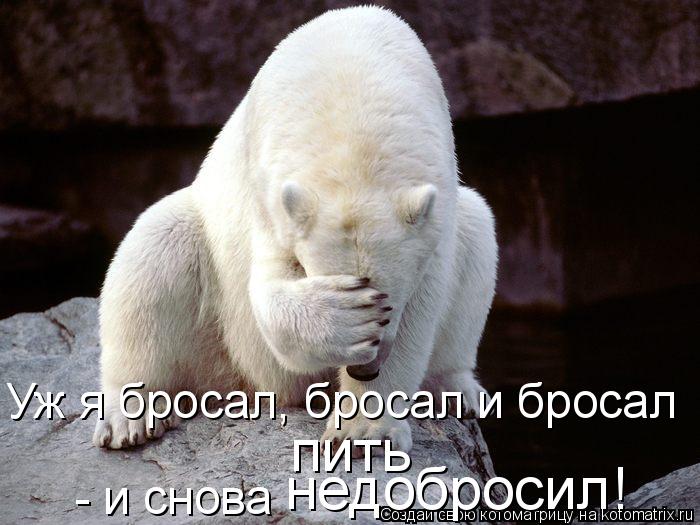 Уж я бросал, бросал и бросал недобросил! - и снова пить... Котоматрица: Уж я бросал, бросал и бросал недобросил! - и снова пить