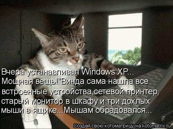 Котоматрица: Вчера устанавливал Windows XP... Мощная вещь!"Винда сама нашла все  встроенные устройства,сетевой принтер, старый монитор в шкафу и три дохлых  мы