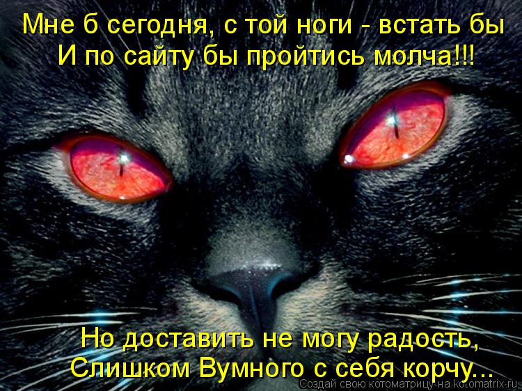 Котоматрица: Мне б сегодня, с той ноги - встать бы  И по сайту бы пройтись молча!!! Но доставить не могу радость,  Слишком Вумного с себя корчу...
