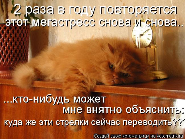 2 раза в году повторяется этот мегастресс снова и снова... ...кто-нибудь может мне внятно объяснить... Котоматрица: 2 раза в году повторяется этот мегастресс снова и снова... ...кто-нибудь может мне внятно объяснить: куда мне эти стрелки сейчас переводить???